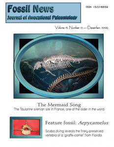 The Mermaid Song