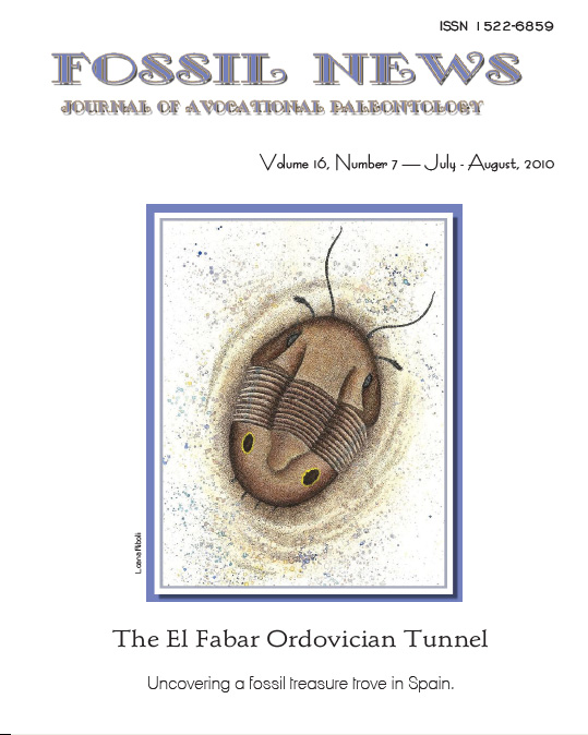 The El Fabar Ordovician Tunnel 