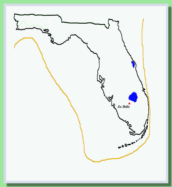 Mappa Florida