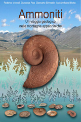 Ammoniti