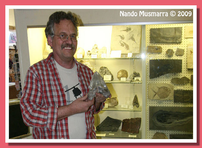 Dente di Megalodon piu' grande del mondo Pete Larson Dente di squalo piu' grande del mondo