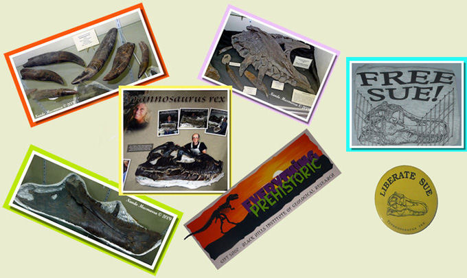 Sue Free T-Rex Mix Tirannosauridi