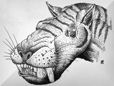 Creodon Hyaenodon