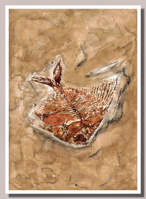 Rappresentazione Pesce Fossile