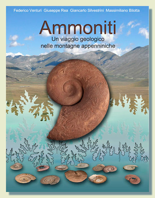 Venturi Ammoniti
