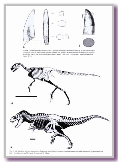 dinosauria2.jpg dinosauria2.jpg