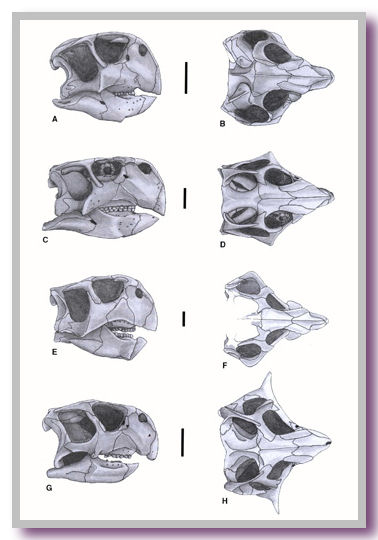 dinosauria4.jpg dinosauria4.jpg