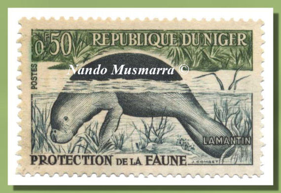 This old stamp from Niger publicizes sirenian protection.