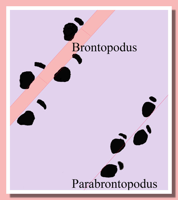 Brontopodus Parabrontopodus