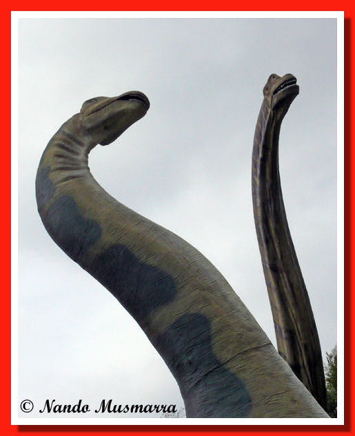 Sauropodi
