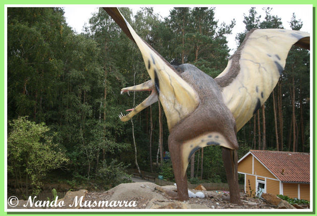 Pterosauro  Esibizionista