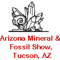 Arizona Fossil Expo