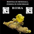 Roma - Mostra Minerali, Fossili e Conchiglie