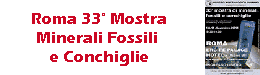 Roma - Mostra Minerali, Fossili e Conchiglie
