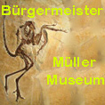 Museum Solnhofen