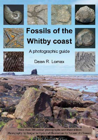 Fossils of the Whitby Coast