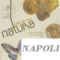 Napoli - Collezionare la Natura