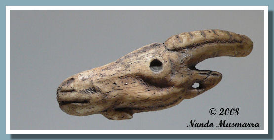 testa di capra - Grotta Tito Bustillo