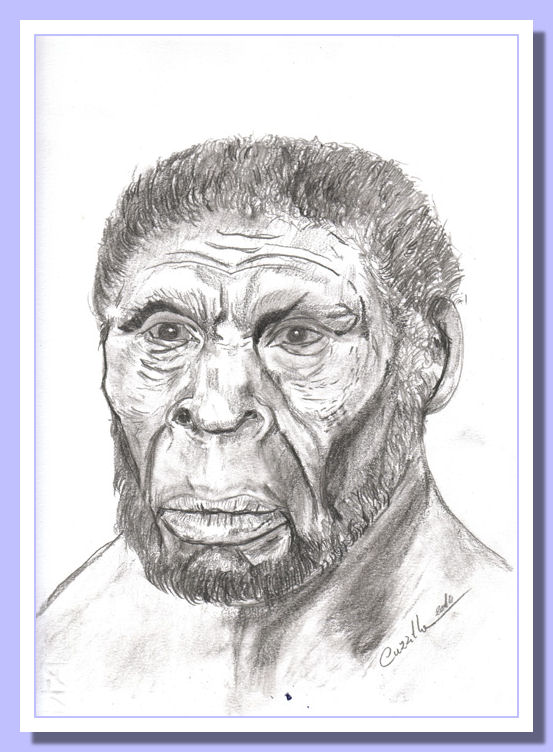 Homo Ergaster Bianco & Nero Homo ergaster Bianco & Nero