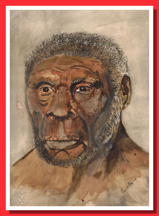 Homo ergaster Homo ergaster