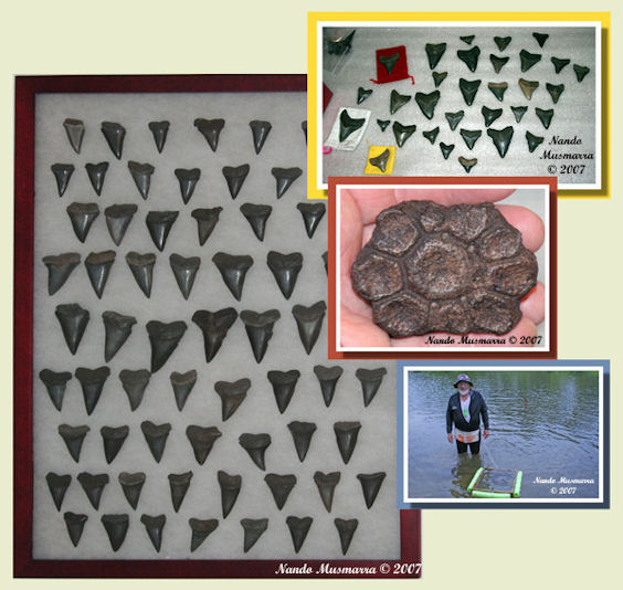 RonSeavey06.jpg RonSeavey06.jpg