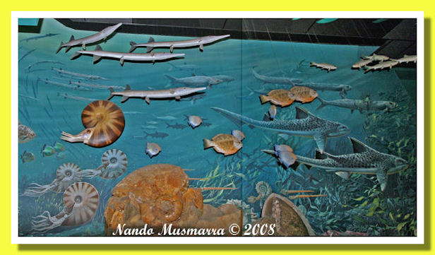 Saurichthys nei mari Triassici