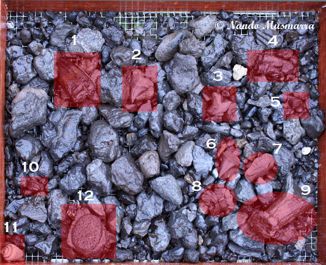 Soluzioni Aguzzate la vista