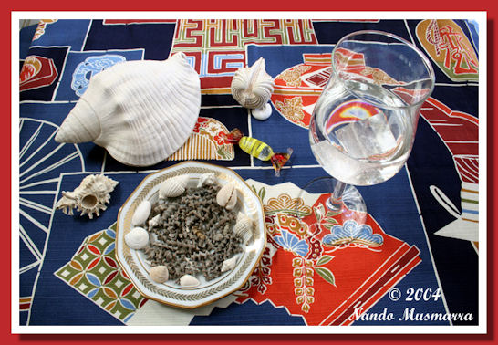 Architectonica nobilis