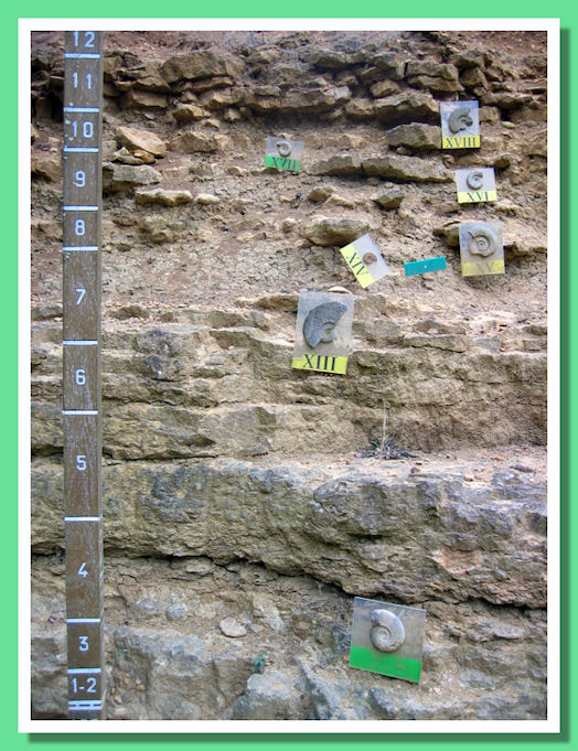 Riserva Geologica Thouars