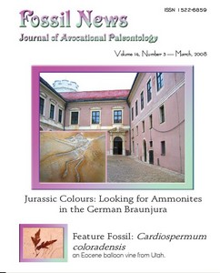 Looking for ammonites in German