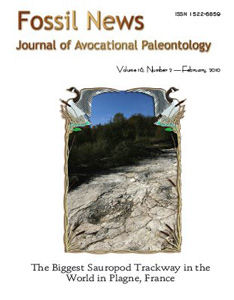 The Biggest Sauropod Trackway in the World 