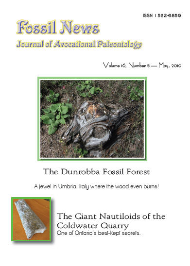 FossilNews-2010-05