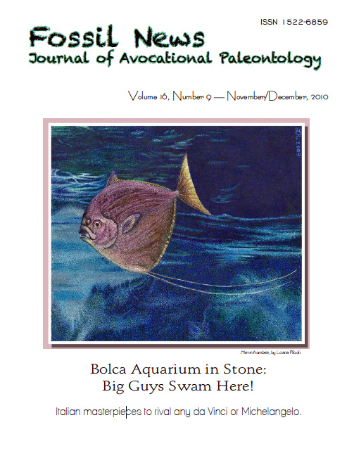 Bolca Aquarium in Stone