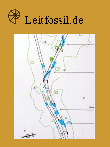 Die Sauropoden-Spuren von Plagne
