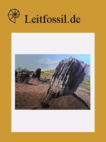 Der fossile Wald von Dunarobba