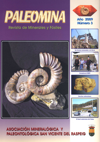 PaleoMina2009