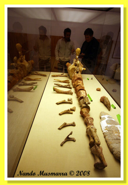 Gallve-03.jpg Gallve-03.jpg