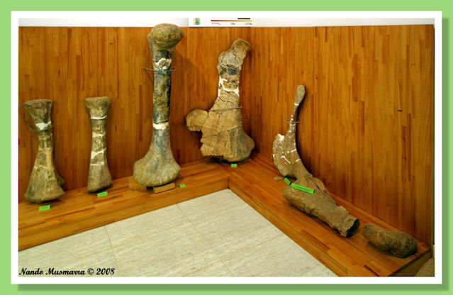Gallve-04.jpg Gallve-04.jpg