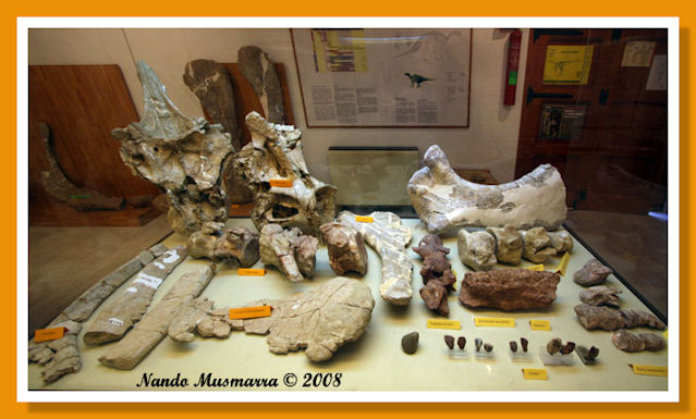 Gallve-06.jpg Gallve-06.jpg