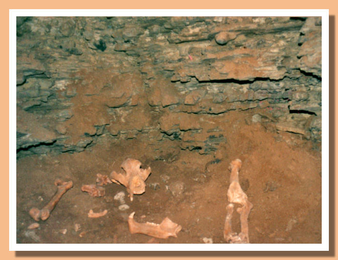 Scavo Monte Generoso