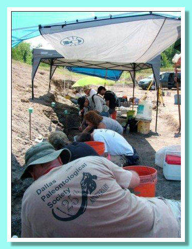 Membri della Sicieta' Paleontologica dioDallas Members of Dallas Paleontological Society