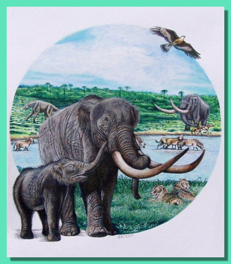 Loana Riboli Paleoart - Pliocene Florida