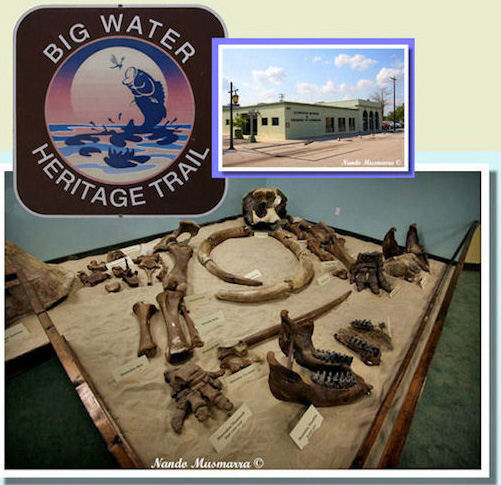 Il Museo di Clewiston