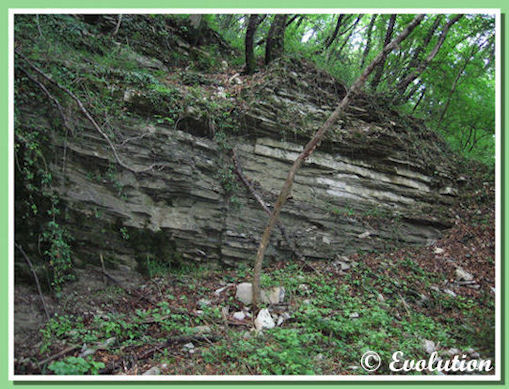 Formazione dei Calcari di Meride