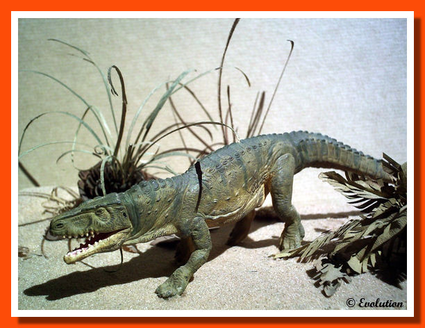  Modello di Ticinosuco