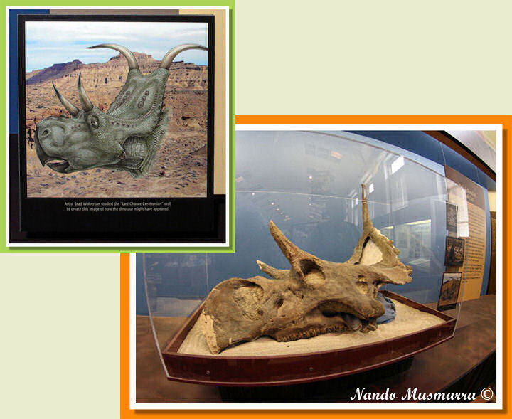 Diabloceratops Diabloceratops