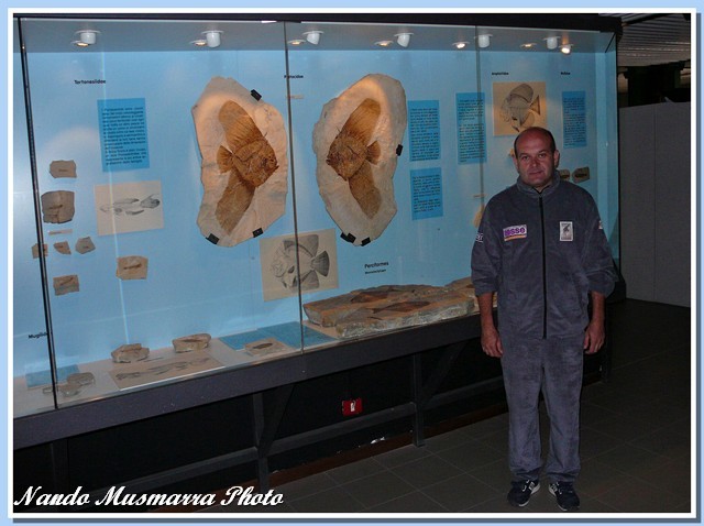 Massimo Cerato and angelfish Eoplatax papilio.