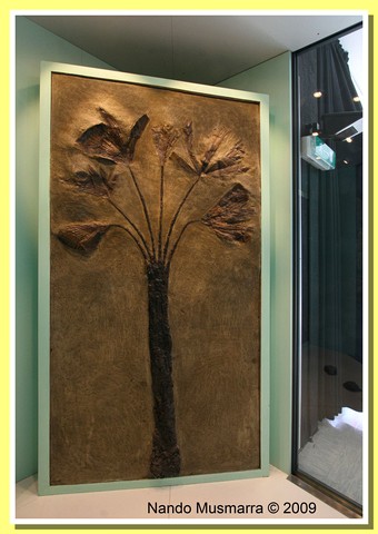 Complete fossil palm Phoenicites wettinioides