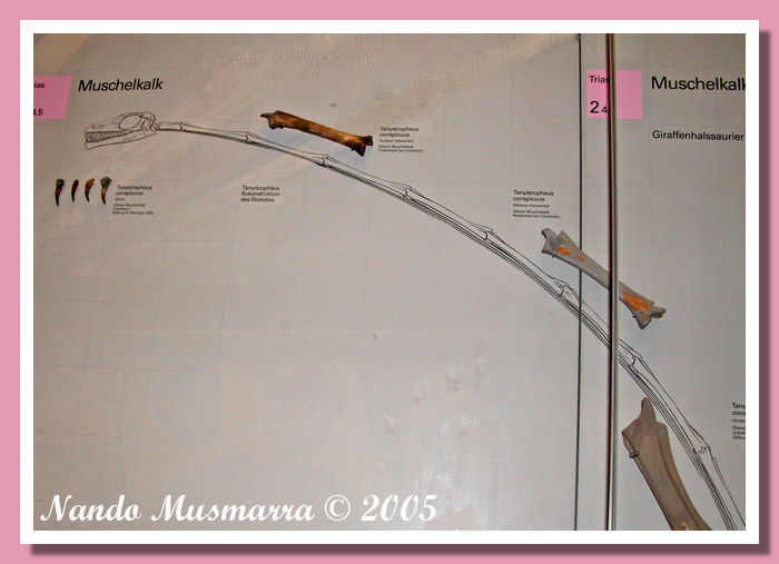 Besano18.jpg