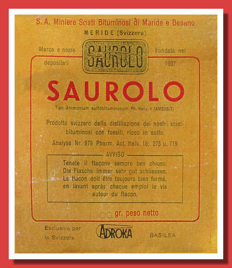 Besano29.jpg